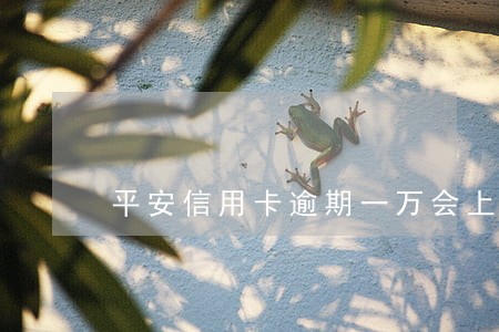 平安信用卡逾期一万会上门调查吗 平安信用卡逾期一万会上门调查吗