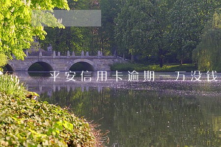平安信用卡逾期一万没钱还