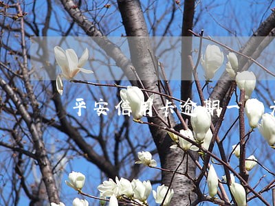 平安信用卡逾期一两天会有事吗 平安信用卡逾期一两天会有事吗