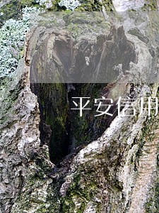 平安信用卡逾期一个多月 平安信用卡逾期一个多月