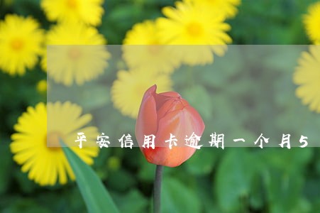 平安信用卡逾期一个月5万 平安信用卡逾期一个月5万