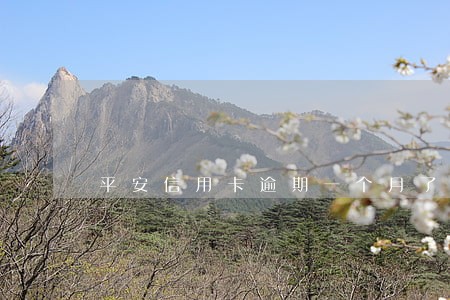 平安信用卡逾期一个月了还能刷吗 平安信用卡逾期一个月了还能刷吗
