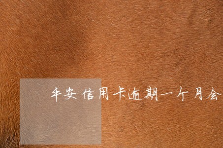 平安信用卡逾期一个月会上门吗 平安信用卡逾期一个月会上门吗