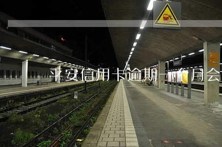 平安信用卡逾期一个月会停卡吗 平安信用卡逾期一个月会停卡吗