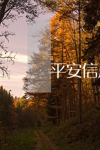 平安信用卡逾期一个月会立案吗 平安信用卡逾期一个月会立案吗