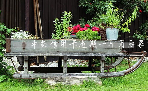 平安信用卡逾期一个月后果严重 平安信用卡逾期一个月后果严重