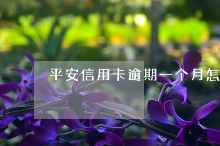 平安信用卡逾期一个月怎么刷出来 平安信用卡逾期一个月怎么刷出来