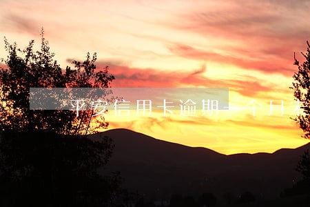 平安信用卡逾期一个月未还 平安信用卡逾期一个月未还