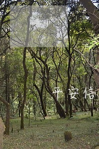 平安信用卡逾期一个月还上没事吗 平安信用卡逾期一个月还上没事吗