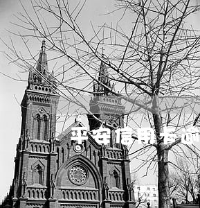 平安信用卡逾期一天上征信了 平安信用卡逾期一天上征信了