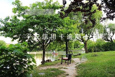 平安信用卡逾期一天影响额度吗 平安信用卡逾期一天影响额度吗