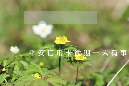 平安信用卡逾期一天有事儿吗 平安信用卡逾期一天有事儿吗