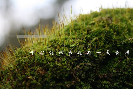 平安信用卡逾期一天费用减免 平安信用卡逾期一天费用减免