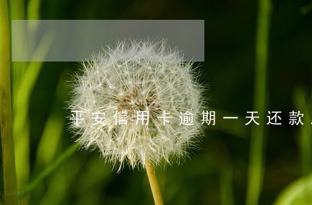 平安信用卡逾期一天还款后果 平安信用卡逾期一天还款后果