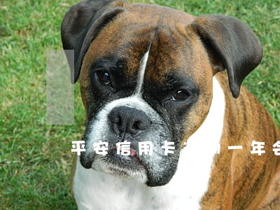 平安信用卡逾期一年会被抓吗 平安信用卡逾期一年会被抓吗