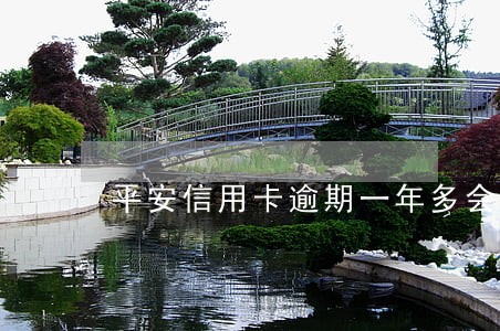 平安信用卡逾期一年多会拘留吗