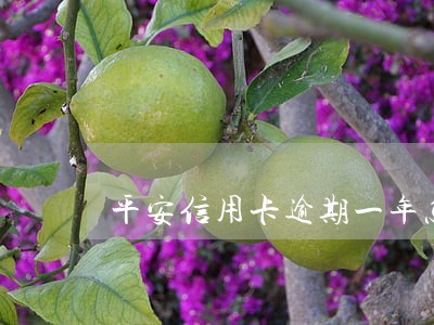 平安信用卡逾期一年怎么办