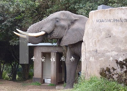平安信用卡逾期一年起诉我 平安信用卡逾期一年起诉我