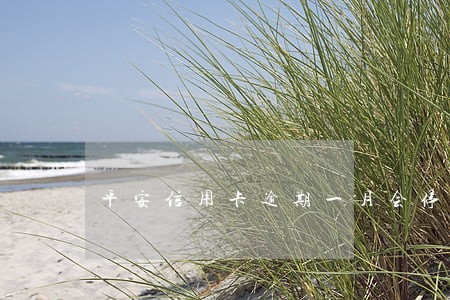 平安信用卡逾期一月会停卡吗 平安信用卡逾期一月会停卡吗