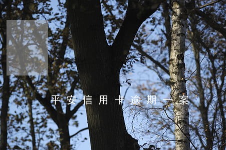 平安信用卡逾期一案