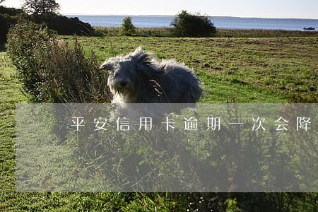 平安信用卡逾期一次会降低额度吗
