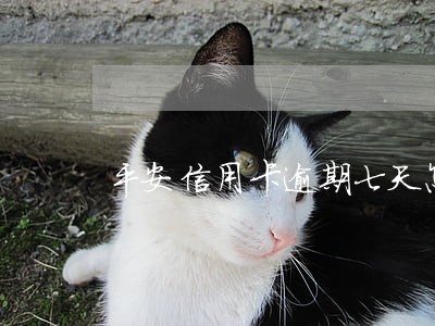 平安信用卡逾期七天怎么办 平安信用卡逾期七天怎么办