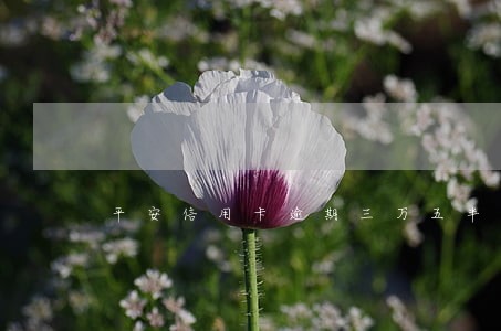 平安信用卡逾期三万五半年了 平安信用卡逾期三万五半年了