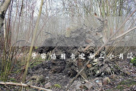 平安信用卡逾期三个月没停卡 平安信用卡逾期三个月没停卡