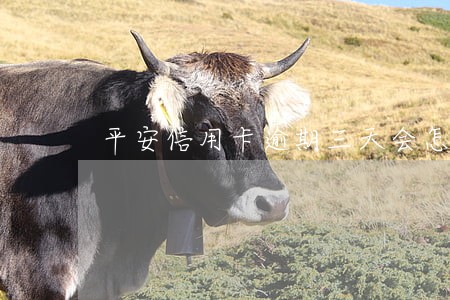 平安信用卡逾期三天会怎么样 平安信用卡逾期三天会怎么样