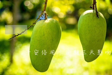 平安信用卡逾期三天影响征信吗 平安信用卡逾期三天影响征信吗