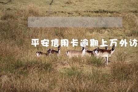 平安信用卡逾期上万外访上门 平安信用卡逾期上万外访上门