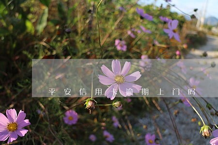 平安信用卡逾期上门吗 平安信用卡逾期上门吗