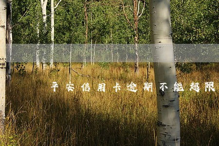 平安信用卡逾期不能超限了 平安信用卡逾期不能超限了