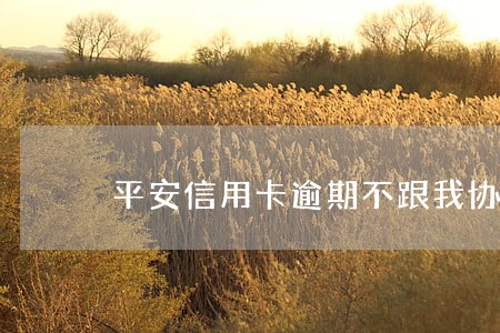 平安信用卡逾期不跟我协商 平安信用卡逾期不跟我协商