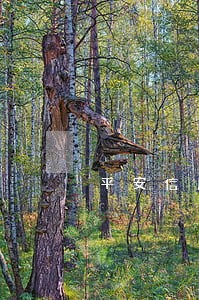 平安信用卡逾期不还怎么收费