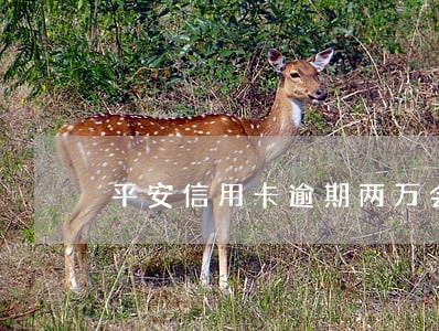 平安信用卡逾期两万会上门吗 平安信用卡逾期两万会上门吗