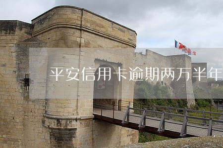 平安信用卡逾期两万半年会怎样