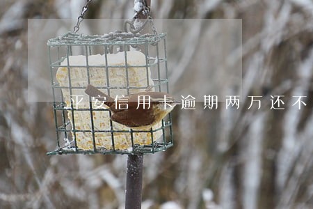 平安信用卡逾期两万还不上了