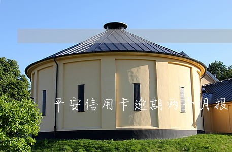 平安信用卡逾期两个月报案