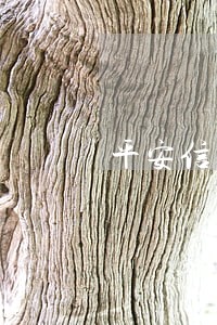 平安信用卡逾期两天后果