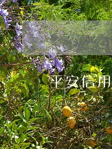 平安信用卡逾期两天要多少罚息 平安信用卡逾期两天要多少罚息