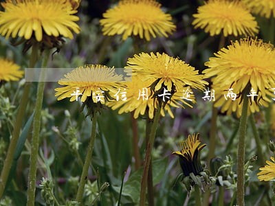 平安信用卡逾期两年了会怎么办