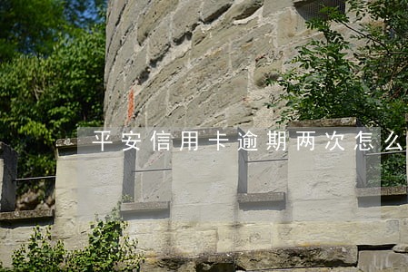 平安信用卡逾期两次怎么办