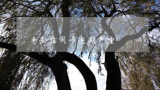 平安信用卡逾期严重 平安信用卡逾期严重