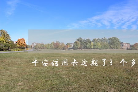平安信用卡逾期了3个多月 平安信用卡逾期了3个多月