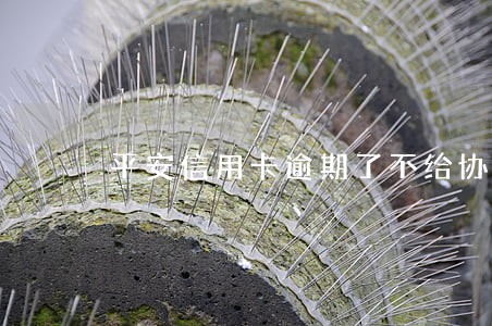 平安信用卡逾期了不给协商机会 平安信用卡逾期了不给协商机会