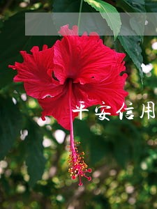 平安信用卡逾期了会不会上门