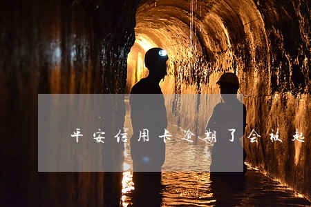 平安信用卡逾期了会被起诉吗 平安信用卡逾期了会被起诉吗