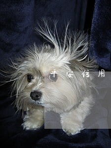 平安信用卡逾期了发短信说要起诉 平安信用卡逾期了发短信说要起诉