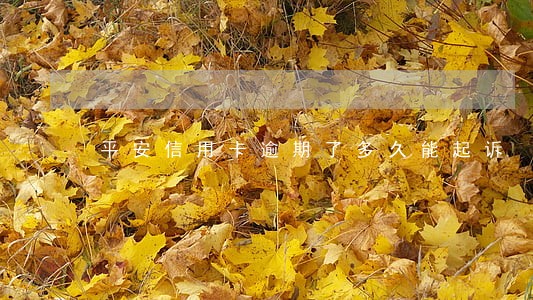 平安信用卡逾期了多久能起诉 平安信用卡逾期了多久能起诉